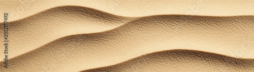 Abstract top-down view of desert sand ripples, with warm golden texture and dark wavy shadows creating a minimalist natural pattern. ,Desertscape, Serenity