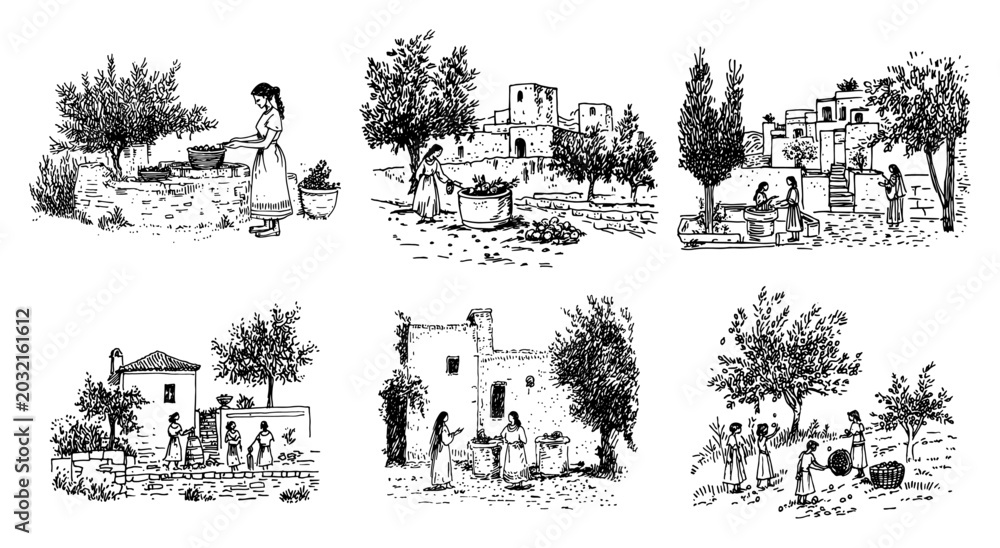 Obraz premium Mediterranean women harvesting olives and working in ancient village in hand drawn sketch style