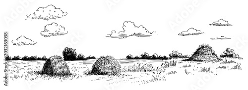 Fotografi Haystacks in rural meadow landscape under cloudy sky in traditional hand drawn e