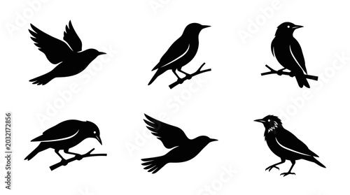 Schilderij op canvas different black starling silhouettes on a clean white background, minimalist vector style