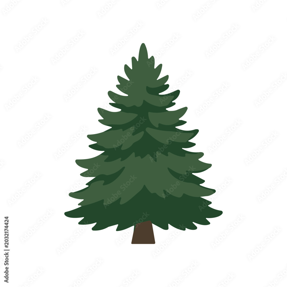 Fototapeta premium Evergreen Pine Tree Illustration Isolated.
