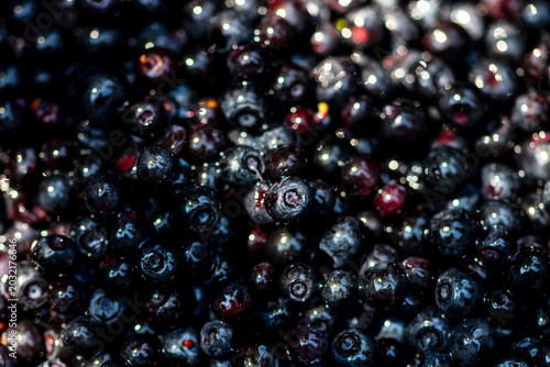 Wild blueberry. Freshly picked organic blueberries