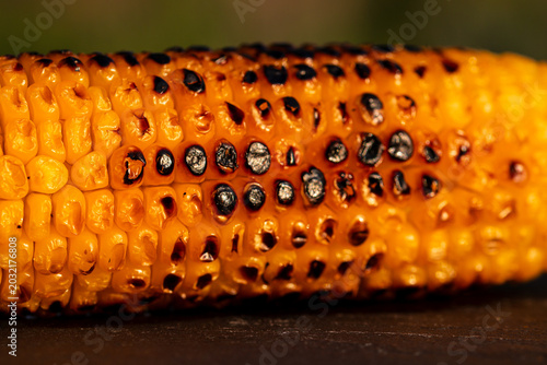 Fresh and delicious grilled sweet corn. Detail of tasty roasted corn