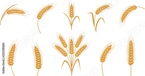Quadro su tela Golden Wheat Ear Icon Set with Detailed Grain Stalks and Agriculture Bunches for