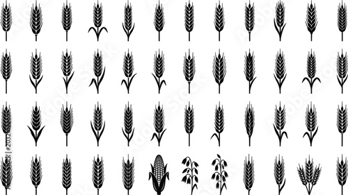 Obraz na płótnie Wheat Ear Silhouette Set with Various Barley Rye Oat and Corn Stalk Icons for Or