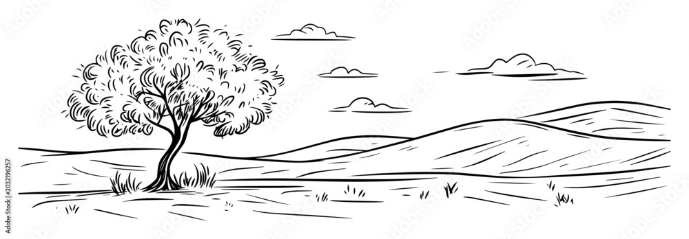 Fototapeta premium lonely tree in rolling hills landscape sketch