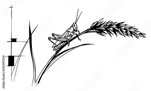 Canvastavla Grasshopper Perched On Wheat Ear In Field Monochrome Ink Sketch Vector