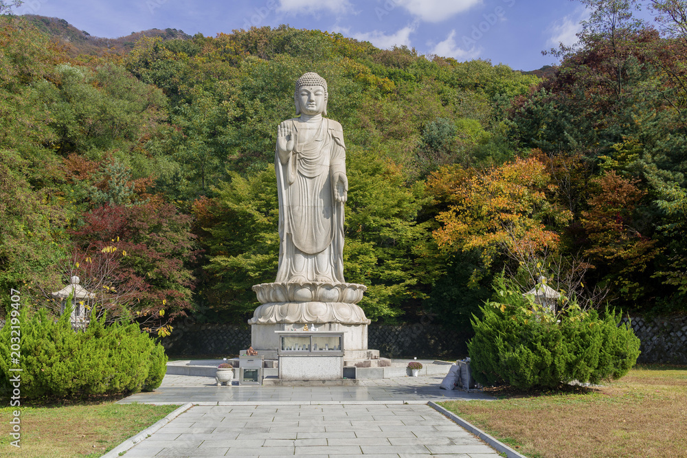Fototapeta premium 파주보광사호국대불,보광사,고령산,파주시,경기도