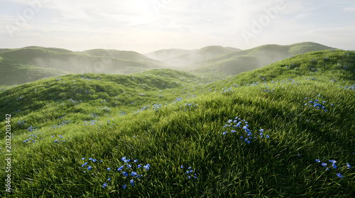 Nature Green Hills Landscape with Blue Wildflowers Under Misty Morning Sky for Outdoor Scene