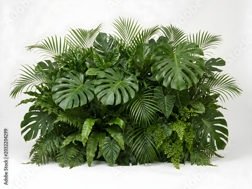 Plants Lush Tropical Foliage Green Jungle Growth Abstract Background for Design Projects