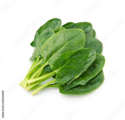 Spinach leaves with drops water
