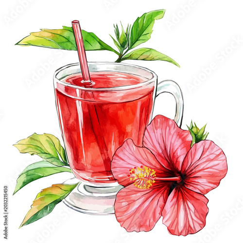 Foto Hibiscus Tea Agua De Jamaica, watercolor vector portraying a joyful pose with colorful highlights, isolated on a white background