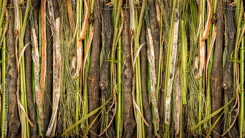 Obraz premium Natural materials arranged in a line showing different textures and colors found in plants and wood