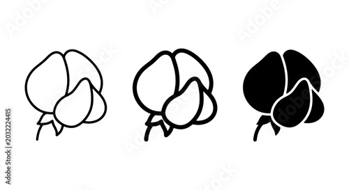 Cuadro en lienzo Sweet Pea Flower Icons, Delicate Floral Vector Graphics, Simple Botanical Line A