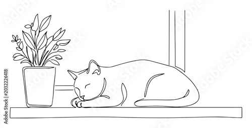 Foto cat sleeping on windowsill simple minimalist drawing with one thin line