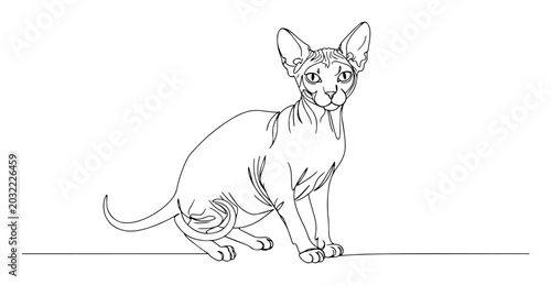 Photos hairless sphynx cat hand drawn outline