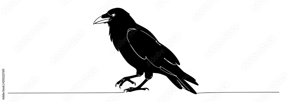 Obraz premium crow bird side view sketch of a thin one line in the style of a black vector on a white background