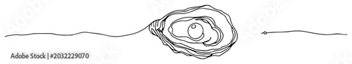 Photos pearl in open oyster shell line drawing