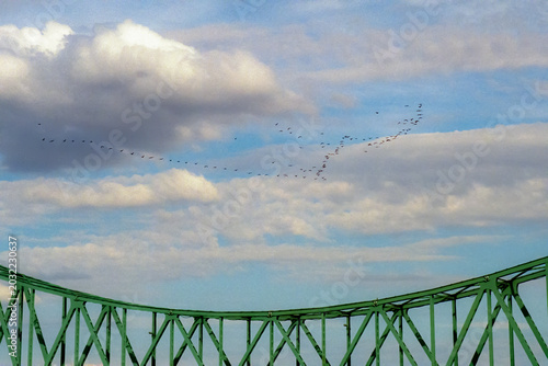Cuadro en lienzo Flock of migrating birds flying above a green steel bridge under dramatic clouds