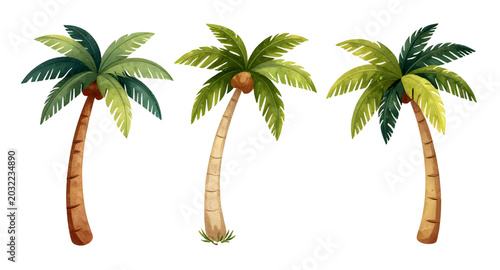 cartoon, palmtree, tropical, tree, island, beach, summer, nature, coconut, exotic, vacation, paradise, playful, cute, vector, illustration, isolated