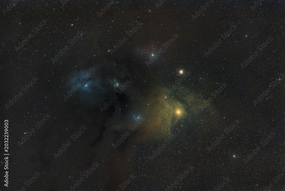 Fototapeta premium Rho Ophiuchi Cloud Complex and Antares Region in Deep Space