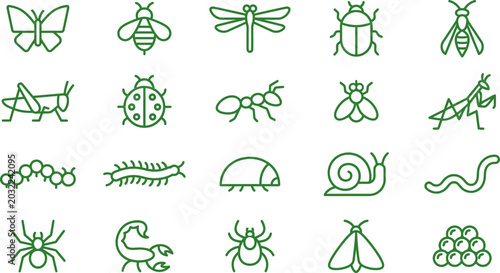 Canvastavla Assorted insects and bugs illustration with illustration entomology arthropods b