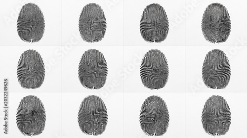 Human fingerprint collection set. Twelve black ink thumbprints in a grid layout on white background. Biometric identification for security and forensic investigation.