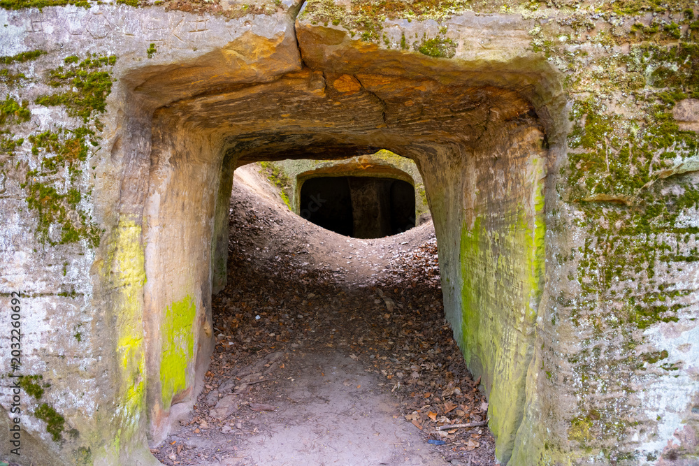 Fototapeta premium Hynsta Castle ruins are carved into sandstone rock. The site is located in Bohemian Paradise, Czechia. The entrance leads into dark tunnels surrounded by a natural landscape.