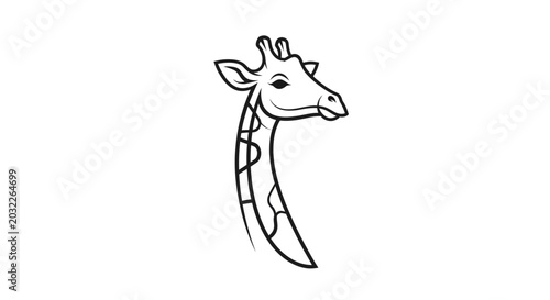 Fotografija Giraffe head and neck illustration.