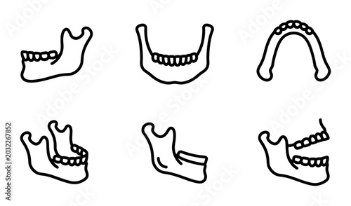 Photos Mandible Anatomy Icons, Jawbone Vector Set, Dental Structure Illustrations, Huma