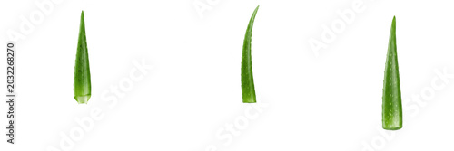 Fresh Aloe Vera Leaf Segments Isolated on White Background, Set of Green Botanical Succulent Plant Parts, High-Quality Cutout PNG Collection for Skincare, Beauty, Health, and Natural Cosmetic Graphic 