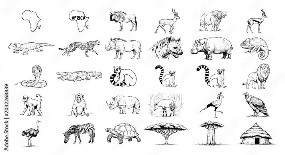 Obraz premium African wildlife animals and safari elements set in hand drawn engraving style