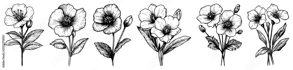Obraz premium Flower stems and botanical floral bouquets in hand drawn engraving style