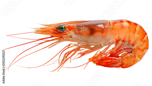 A stack of cooked orange shrimp with visible legs and tails