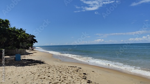 Obraz na płótnie Um dia ensolarado na praia de Pitinga, em Arraial d'ajuda, Porto Seguro, estado da Bahia, Brasil
