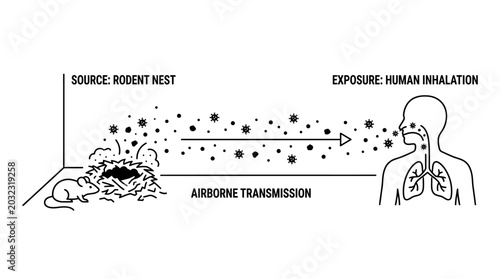 Billede på lærred Diagram showing hantavirus or infectious disease airborne transmission from rodent nest to human inhalation