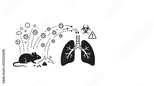 Tableau sur toile Illustration showing disease transmission from rodents to human lungs