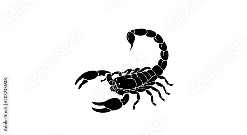Cuadro en lienzo Black Scorpion Silhouette Icon Isolated on White Background, Danger Symbol