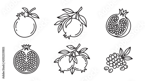 Pomegranates on branches and scattered whole and halved hand-drawn line art vector illustration set pomegranate collection illustration monochrome isolated background vitamins antioxidants