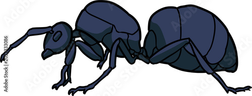 Foto 개미 ant