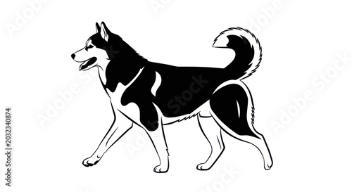 Foto Husky Dog Silhouette, Black and White Line Art Illustration, Walking Pet Animal