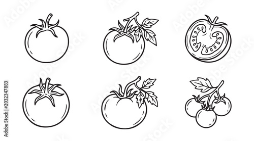 Collection of hand drawn tomatoes with leaves and slices white background line art vegetable illustration isolated monochrome creative minimalist collection ingredients
