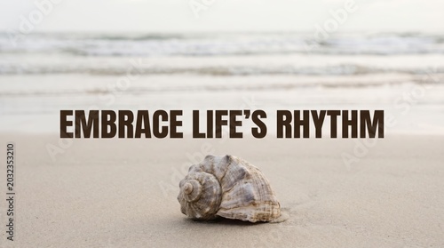 Seashell on Beach Shore with Ocean Background