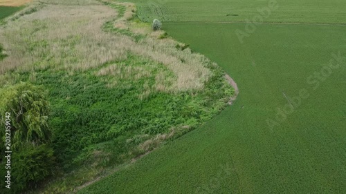 Agricultural fields border overgrown land under cloudy sky. Great for themes of farming, land use, nature, and weather change.