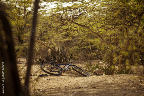 Photos Bicycle lying on sandy ground in dry tropical scrubland, La Guajira Colombia