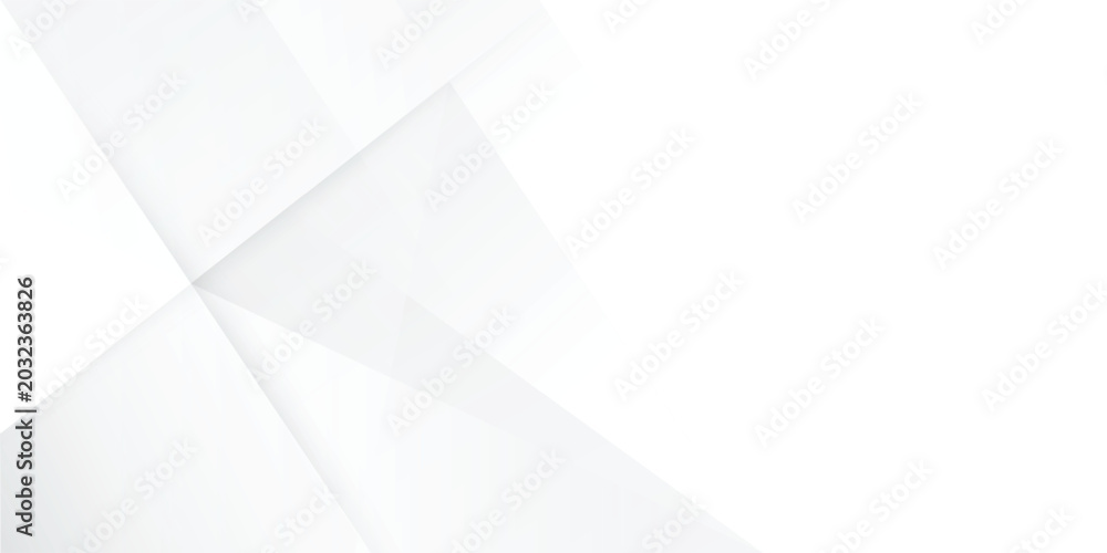 Fototapeta premium Abstract white and grey diagonal stripes with copy space for business horizontal banner on white background