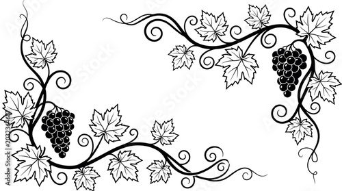 Konstfotografi Elegant Grapevine Border with Bunches of Grapes and Swirling Vine Leaves in Blac