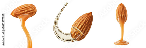 Photos Almond seed nut fluid liquid stream falling down under gravity force pour motion, showcasing organic plant fluid parameters, distinct cellular taxonomy traits, botanical properties within drink file