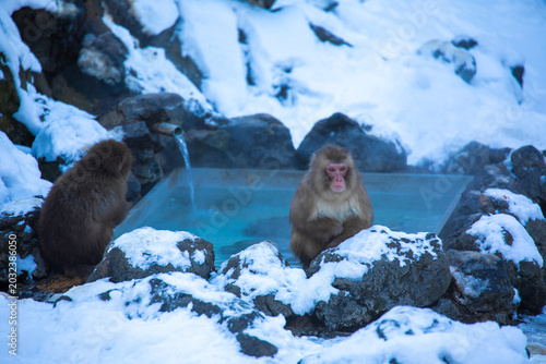 Photography Kusatsu Onsen, a famous hot spring in Gunma Prefecture, Japan