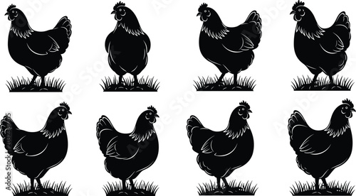 Fotografía Chicken Hen Silhouette Vector Collection with Farm Poultry Standing Poses for Ag